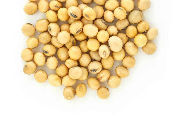 gmo soybeans